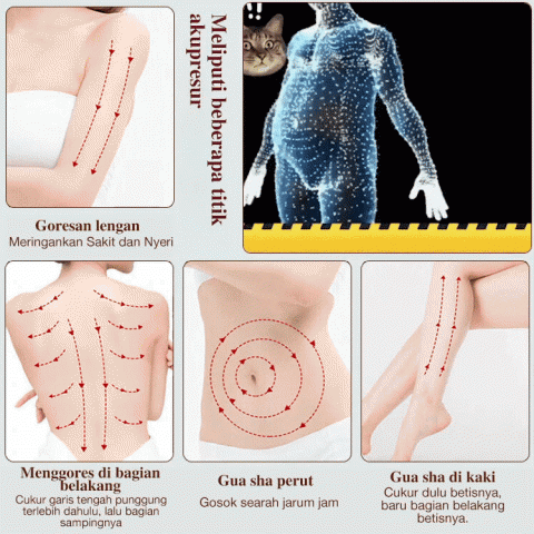 Sikat meridian khusus profesional salon kecantikan